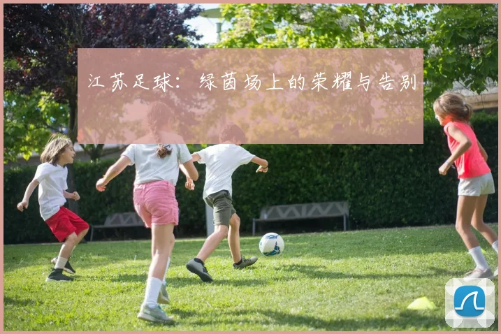江苏足球：绿茵场上的荣耀与告别