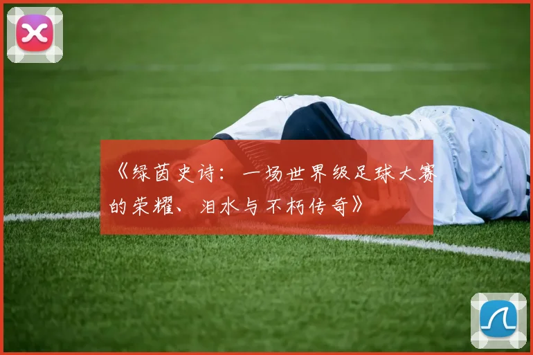 《绿茵史诗：一场世界级足球大赛的荣耀、泪水与不朽传奇》